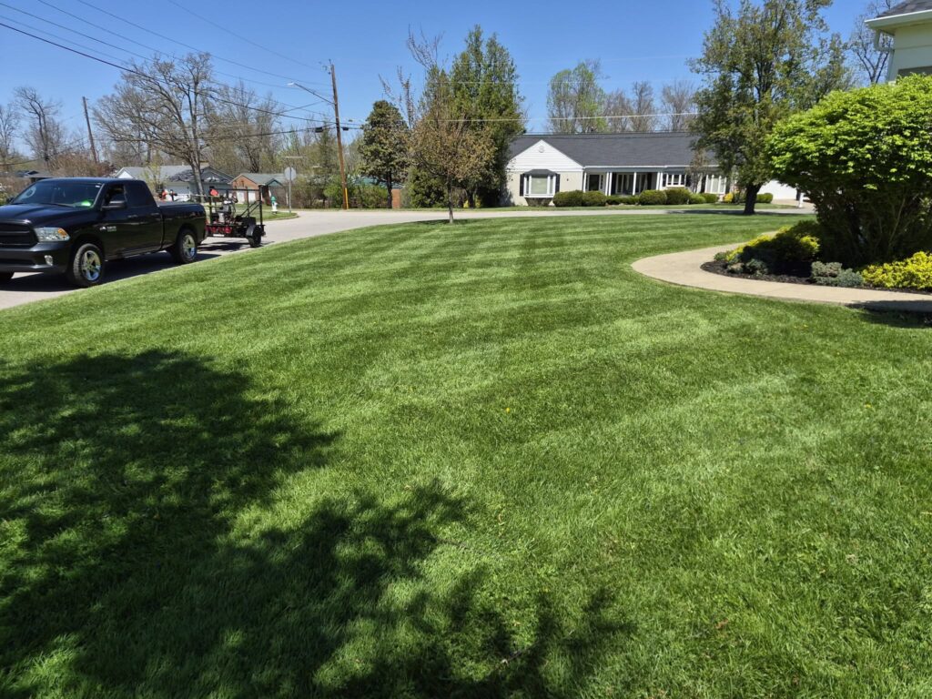 Professional Lawn Care & Landscaping Services in Barboursville, WV